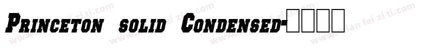 Princeton solid Condensed字体转换
